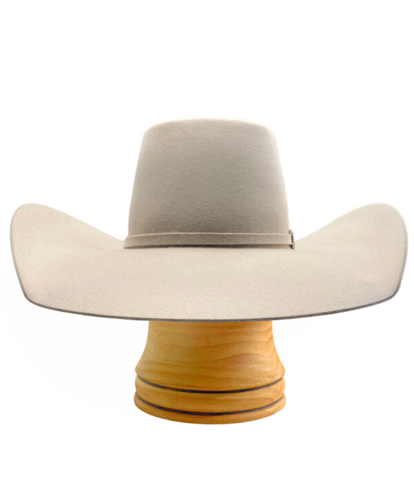 'High Roller' Buckskin - Custom Trim Optional - Image 2