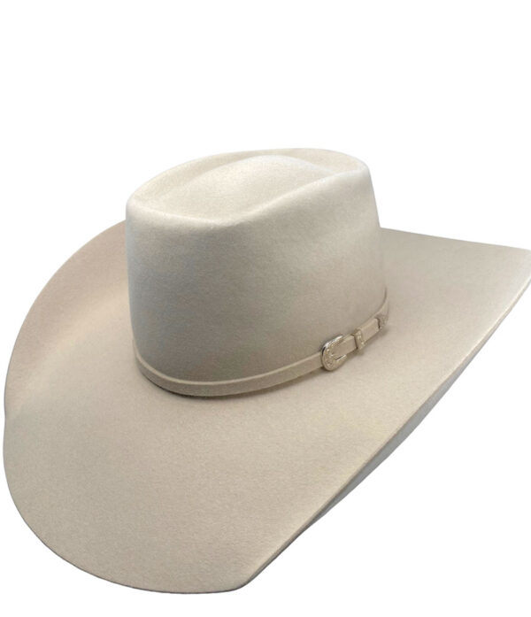 'High Roller' Buckskin - Custom Trim Optional - Image 3