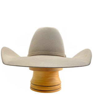 ‘Reiner ‘ Buckskin – Custom Trim Optional