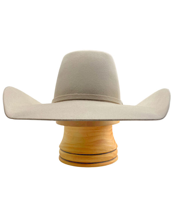 'Royal Flush' Buckskin - Custom Trim Optional - Image 3