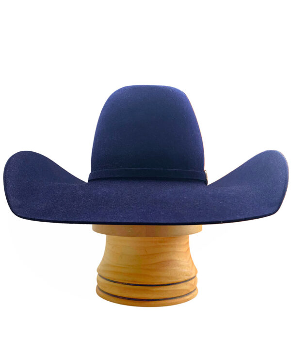 'All In' Navy- Custom Trim Optional - Image 2