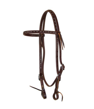 DOTTED BRIDLE