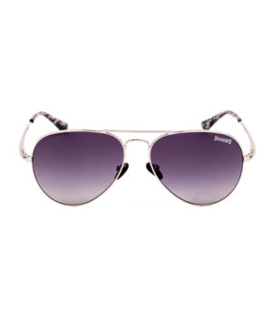 Branded Vision – Arena Silver Sunglasses