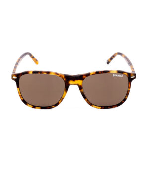 Branded Vision – Belle Havana Brown Sunglasses