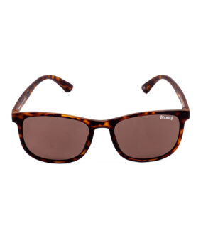 Branded Vision – Barkly Brown Sunglasses