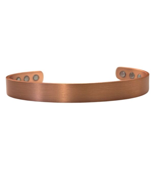 Plain Copper Band - Ranch Bands